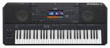 Yamaha PSR SX-900 Keyboard***Artikel nicht verfügbar***