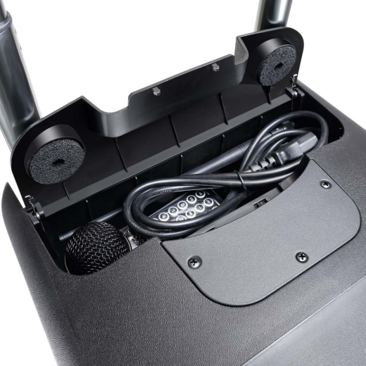 LD Systems ROADBUDDY 10