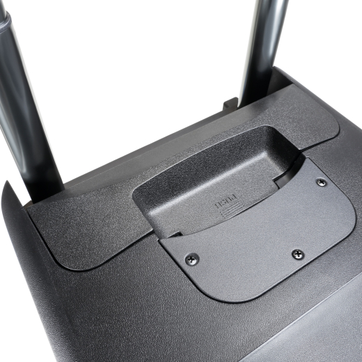 LD Systems ROADBUDDY 10 Basic