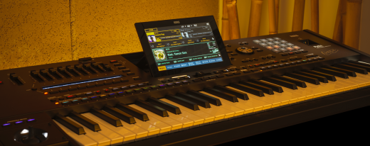KORG Entertainer Keyboard, Pa5X ORIENTAL, 61 Tasten