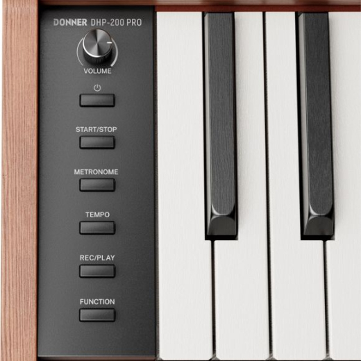 Donner DHP-200 Pro Digital Piano wood