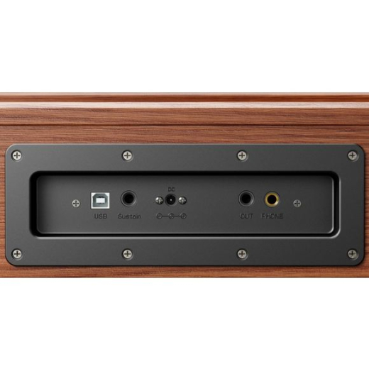Donner DHP-200 Pro Digital Piano wood