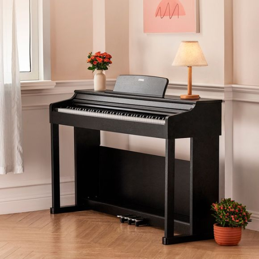 Donner DDP-100 Digital Piano schwarz