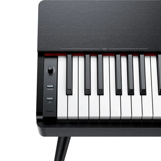 Donner Oura S100 Digital Piano