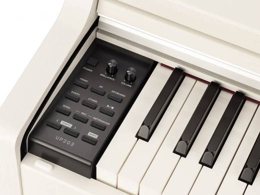 UP203WH Medeli Andromeda Series Digital Home Piano