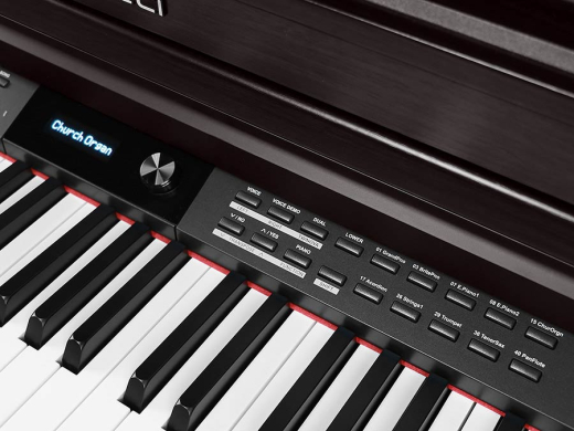 DP460K RW Medeli Forte Series Digitalpiano rosewood