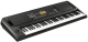 Korg EK-50 Keyboard, Arranger
