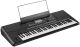 Korg Pa300 Entertainer Keyboard