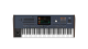 KORG Entertainer Keyboard, Pa5X MUSIKANT, 61 Tasten