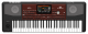 Korg Pa700 Entertainer Keyboard
