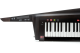 KORG Umhänge Keyboard, digital, RK-100S2-TBK, USB, 37 Tasten, schwarz