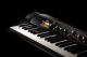 KORG Digitalpiano, SV2-88, 88 Tasten (RH3), schwarz, ohne Lautsprecher