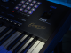 KORG Entertainer Keyboard, Pa5X ORIENTAL, 61 Tasten