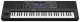 Yamaha PSR SX-920 Keyboard Entertainer