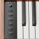 Donner DHP-200 Pro Digital Piano wood
