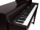 DP460K RW Medeli Forte Series Digitalpiano rosewood