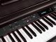 DP460K RW Medeli Forte Series Digitalpiano rosewood