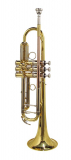 SE 2400 L Stewart Ellis Pro Series Trompete Goldlack