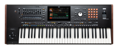 KORG Entertainer Keyboard, Pa5X International, 61 Tasten